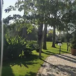 Paduli Piani ماتينو