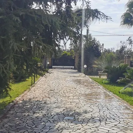 Paduli Piani 3*